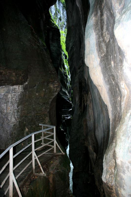 In einer schmalen Felsspalte unter die sich die Aare gefressen hat; 21.08.2011