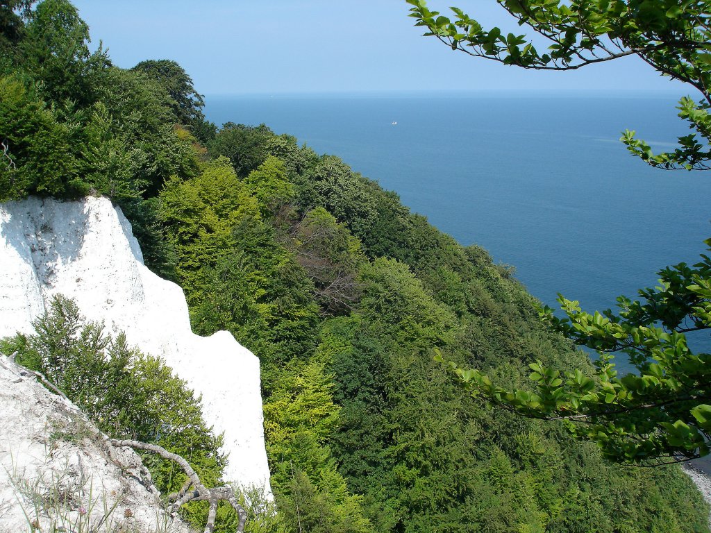 Insel Rgen, Stubbenkammer mit den leuchtend weien Kreidefelsen, Juli 2006