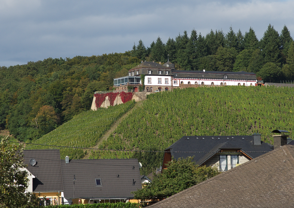 Interessantes im Tal der Saar.
Weingut Schlo Saarstein bei Serrig.
29.09.2012