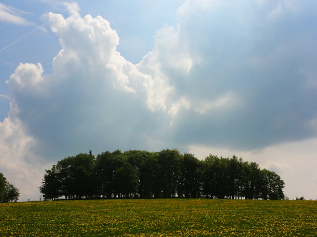 Interessantes Wolkenbild in der Nhe von Wilwerwiltz (April 2011)