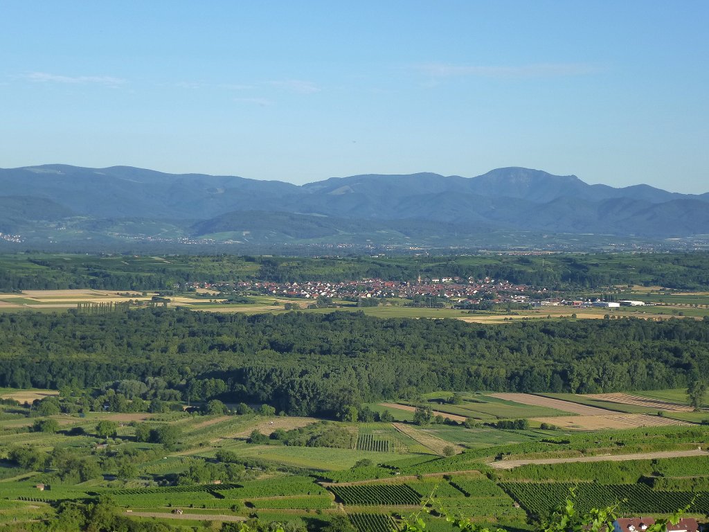 Kaiserstuhl, Blick vom 360m hohen Lenzenberg auf den Weinort Merdingen am Tuniberg, im Hintergrund der Schwarzwald, Aug.2013