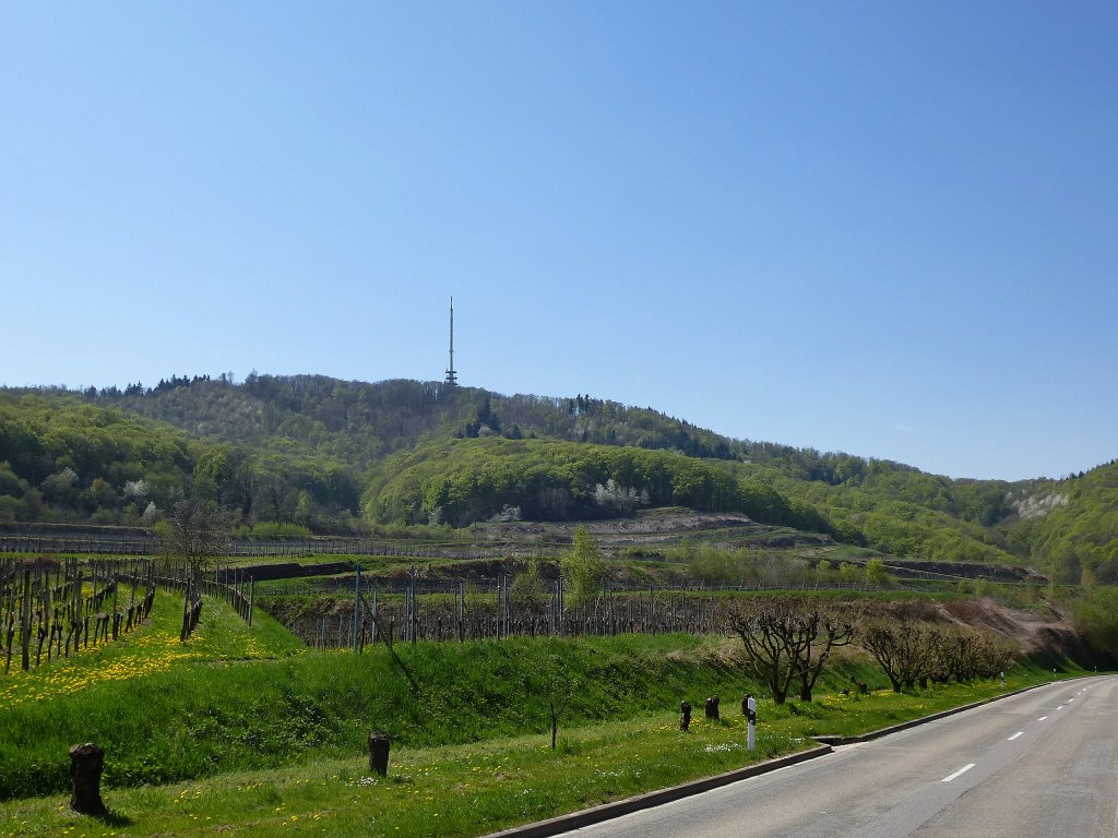 Kaiserstuhl, Blick von Altvogtsburg zum hchsten Berg, den Totenkopf (557m) mit dem Sendeturm, April 2013