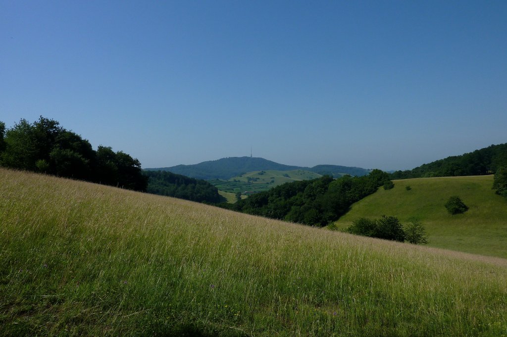 Kaiserstuhl, Blick zum Totenkopf mit Fernsehturm, mit 557m der hchste Berg, Juni 2011