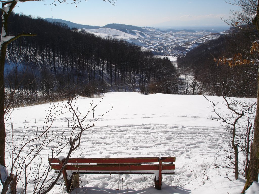 Kaiserstuhl im Winter 2005,
Blick auf Schelingen,