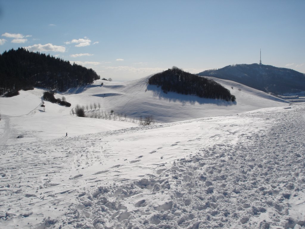 Kaiserstuhl im Winter,
Blick vom Badberg zum Totenkopf mit Fernsehturm
Feb.2005