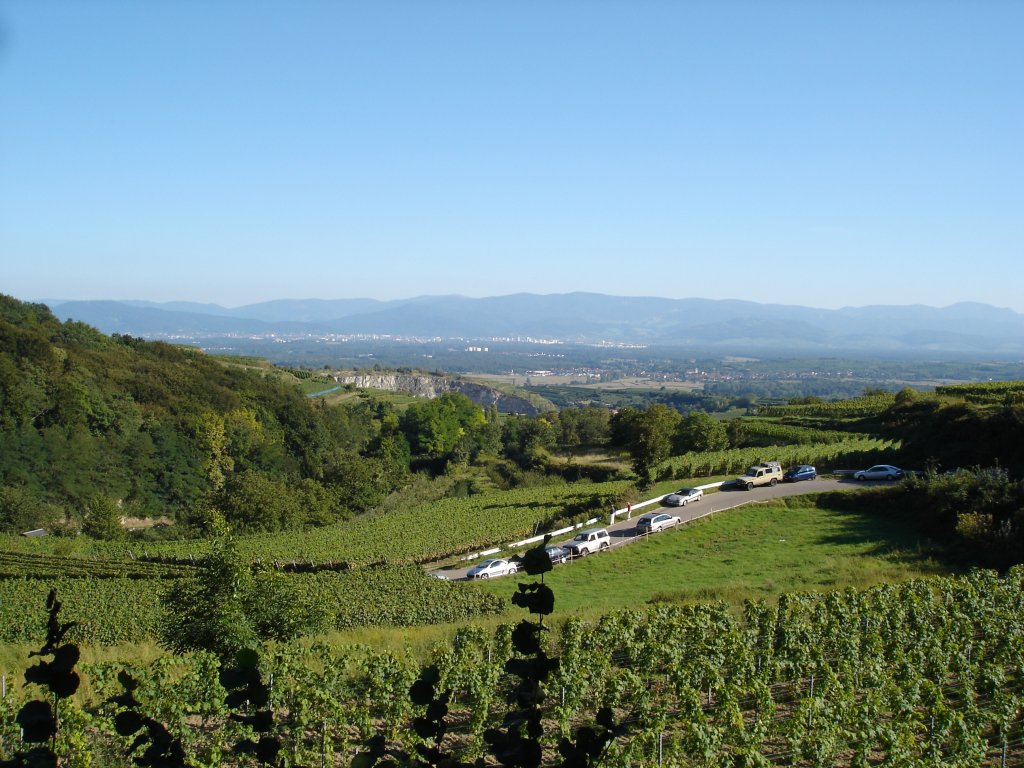 Kaiserstuhl/Baden,
Blick vom Vogelsangpass auf Freiburg und Schwarzwald,
Aug.2008