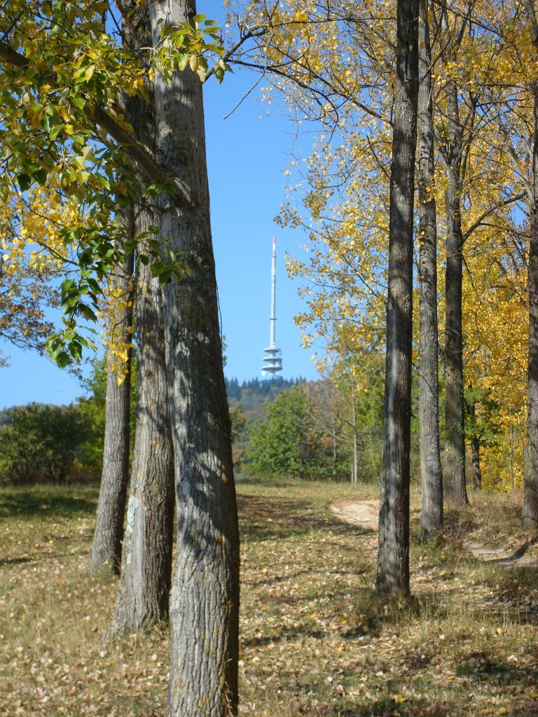 Kaiserstuhl/Baden,
Blick zum Fernsehturm,
Herbst 2008