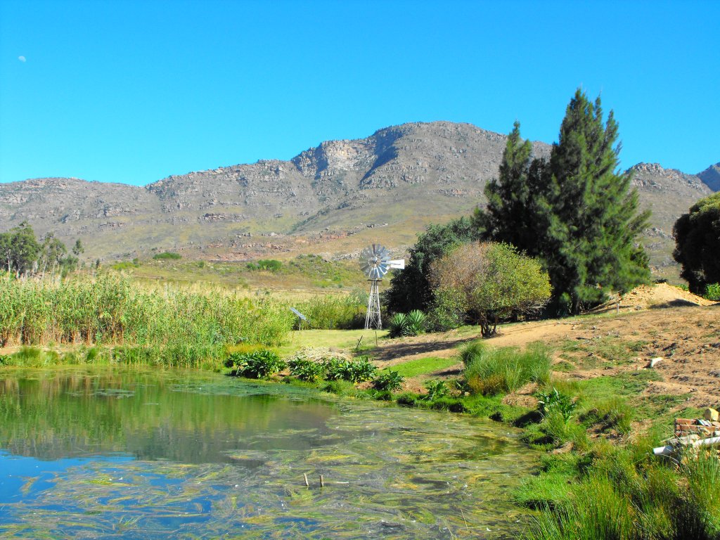 Kapteins Kloof, Geelhoutboom Farm. Kapteins Kloof, 16.03.2010