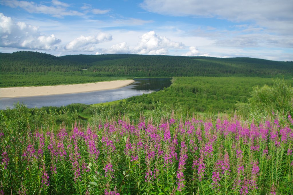 Karasjokka Fluss an der Grenz zu Finnland (04.07.2013)