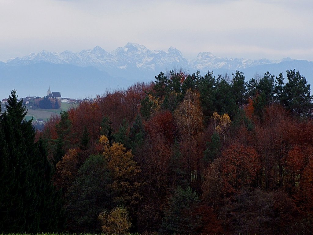 Kirche von Allerheiligen/Mhlkreis zwischen herbstlichem Mischwald u. dem Voralpenland;101101