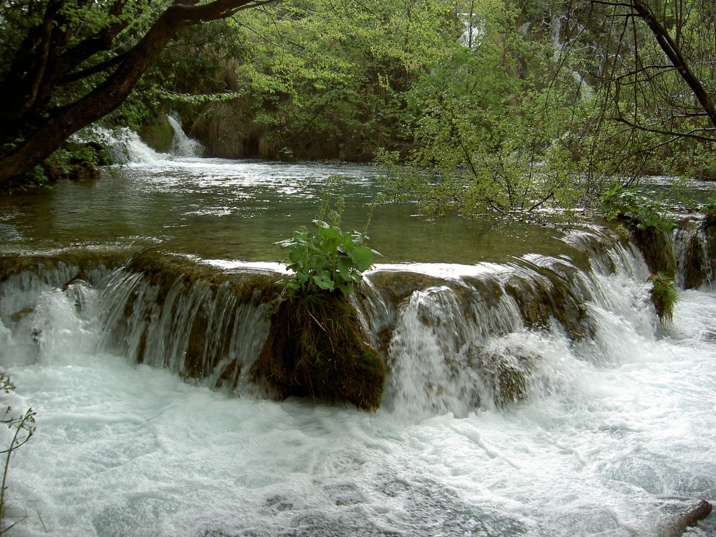 Kleine Wasserflle zum Gavanovac See im NP Plitwitzer Seen (02.05.2012)