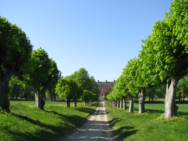 Kltz (NWM); Festonallee mit Blick auf das Schlo Bothmer [08.05.2011]