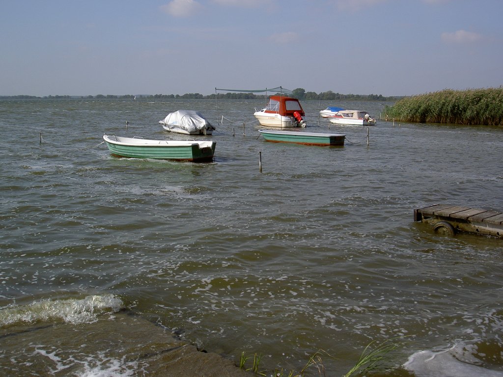 Kummerower See bei Verchen, Vorpommern (16.09.2012)