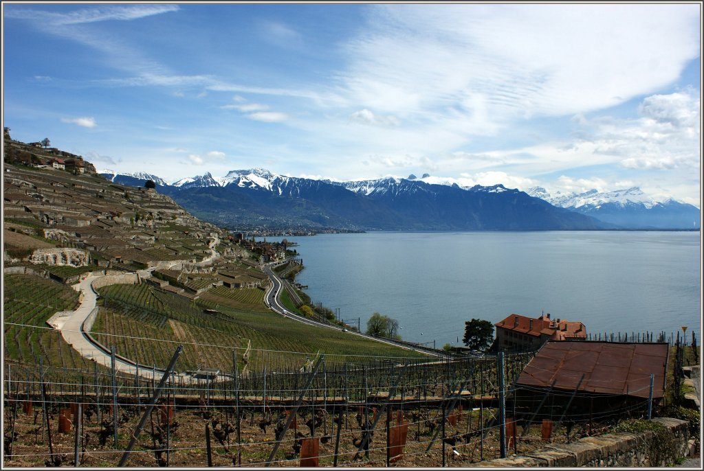 Kurz vor dem Wetterumschwung hatte man eine klare und weite Aussicht ber den Genfersee, das Lavaux und die Waadtlnder Berge.
(23.04.2012)