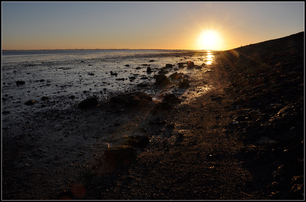 Kurz vor Sonnenuntergang - 

Am Jadebusen bei Wilhelmshaven.

27.10.2012 (J)