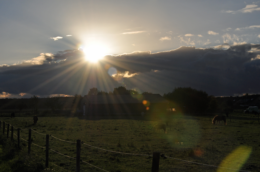 Kurz vor Sonnenuntergang und einer heranziehenden Wolkenwand - Gegenlichtaufnahme bei Eu-Wikirchen - 25.09.2010