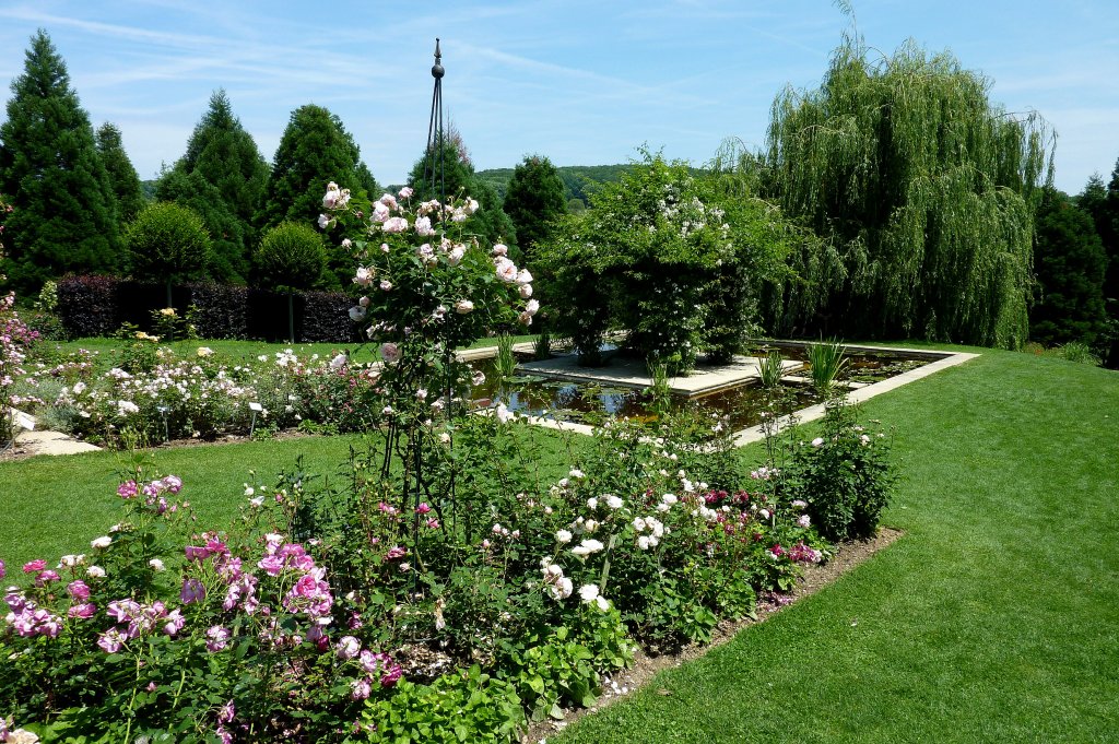 Landhaus Ettenbhl, Blick in den Wassergarten, Juni 2012