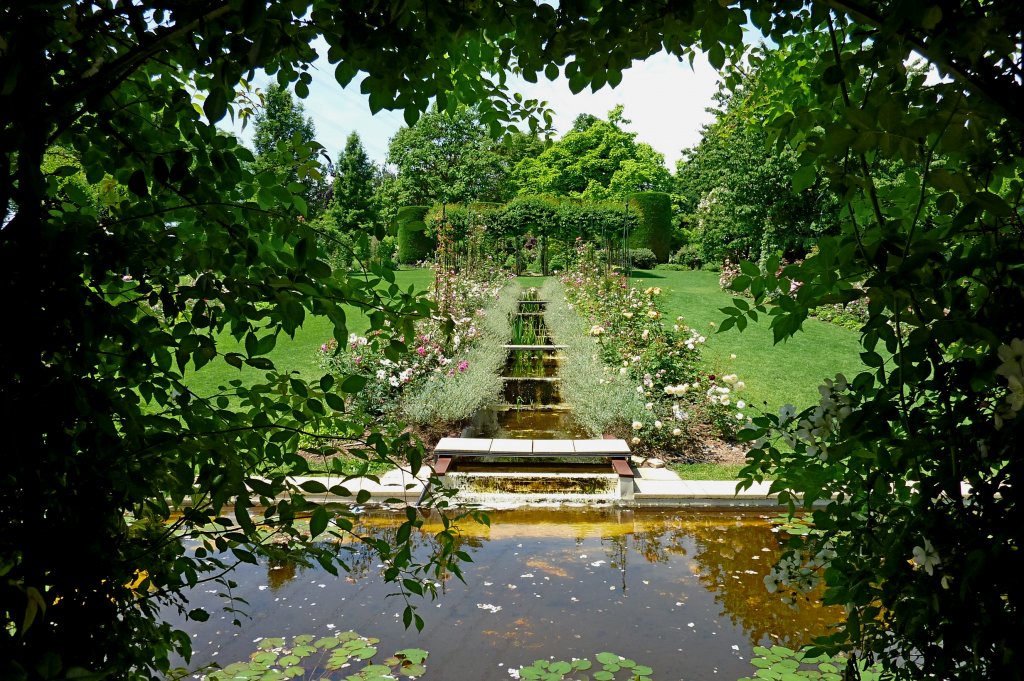 Landhaus Ettenbhl, Blick in den Wassergarten, Juni 2012