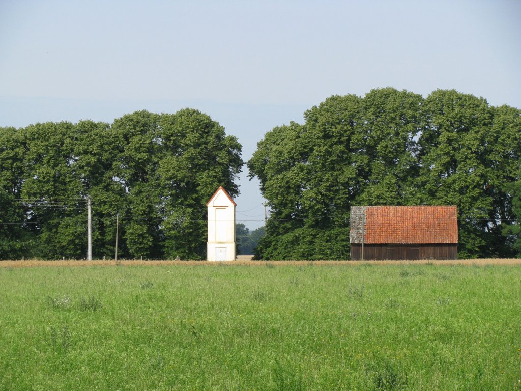 Landkreis Parchim; mecklenburgische Landschaft bei Sukow, PCH [02.08.2009]
