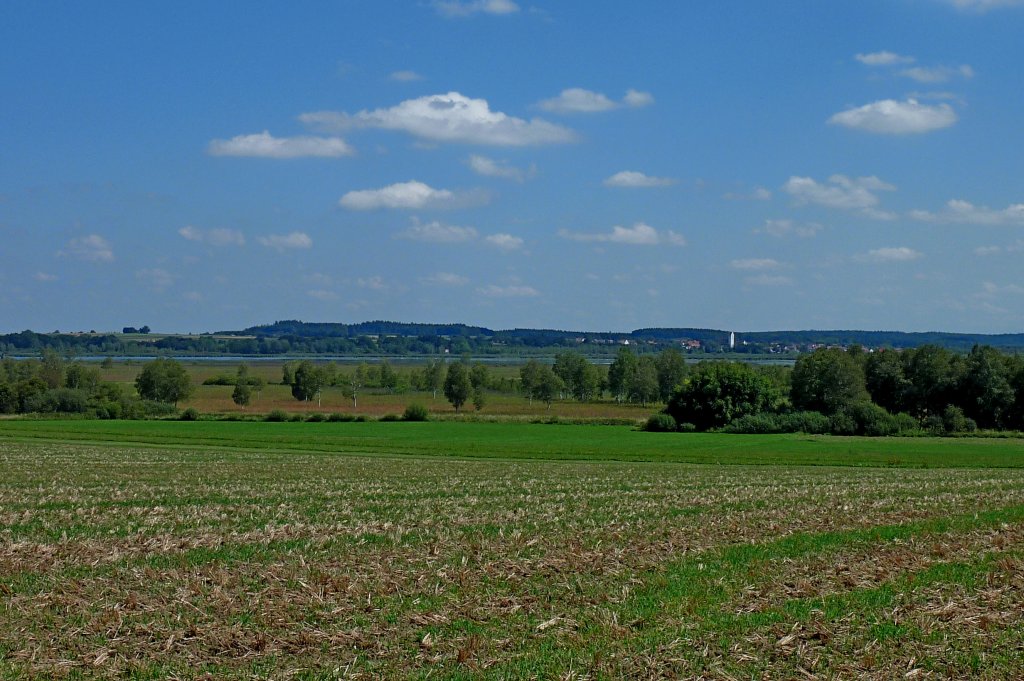 Landschaft am Federsee in Oberschwaben, Aug.2012