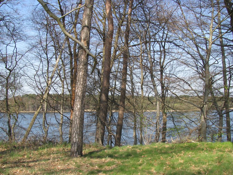 Landschaft am Schaalsee bei Marienstedt (RZ [SH]), 25.04.2010
