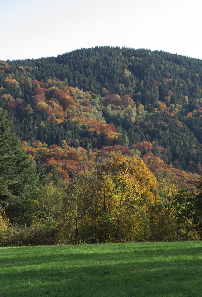 Landschaft an der Saar bei Taben-Rodt - 21.10.2012