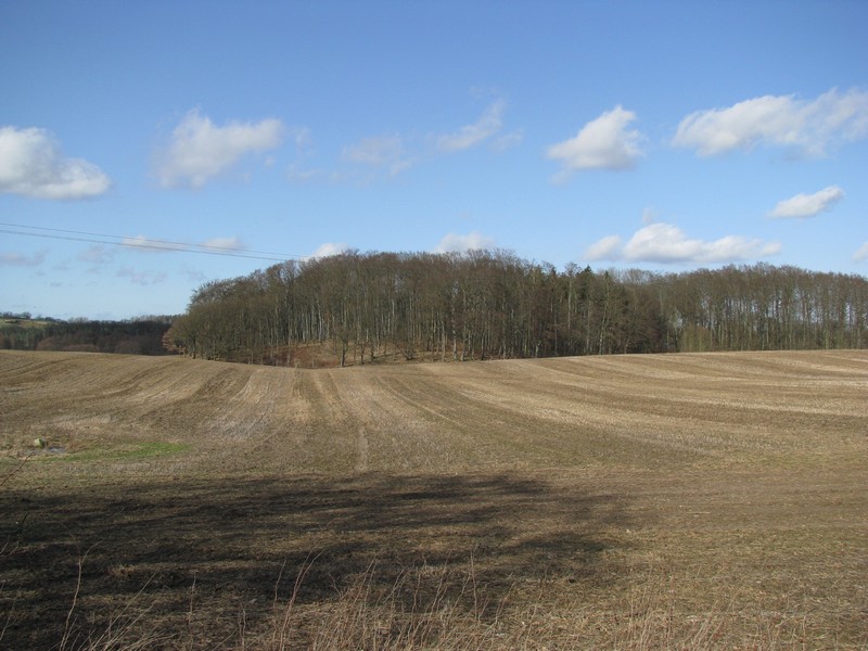 Landschaft bei Gro Hundorf an der Strae Botelsdorf nach Kchelstorf [NWM) 21.03.2010