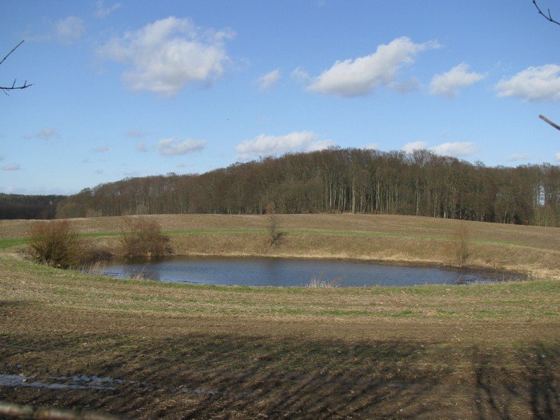 Landschaft bei Gro Hundorf, Nordwestnordmecklenburg 21.03.2010