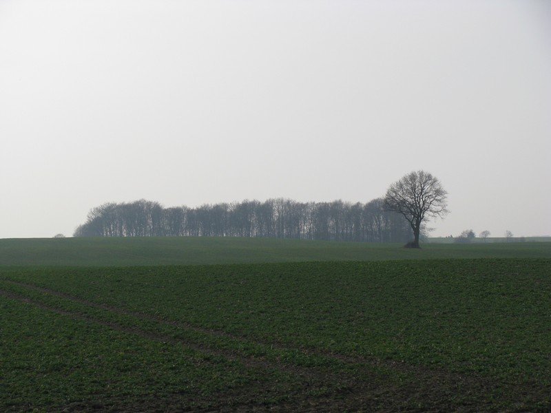 Landschaft bei Schlagresdorf, Nordwestmecklenburg 24.03.2010