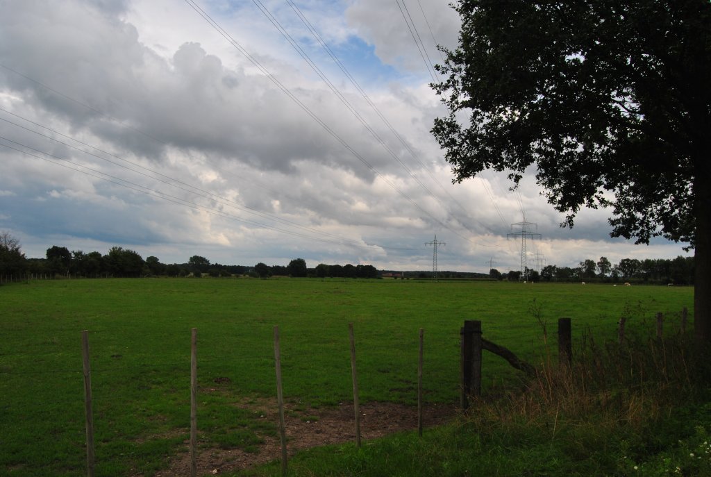 Landschaft bei Steinwedel. Foto vom 16.08.2010