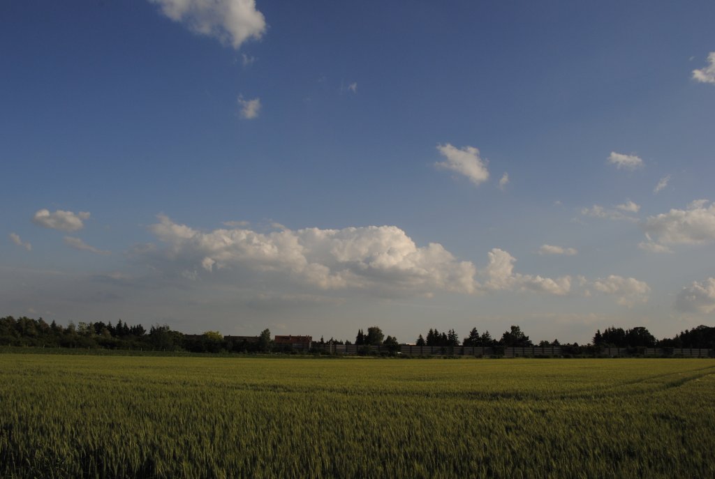 Landschaft irgendwo in Lehrte. Aufnahme von 11.06.2010.