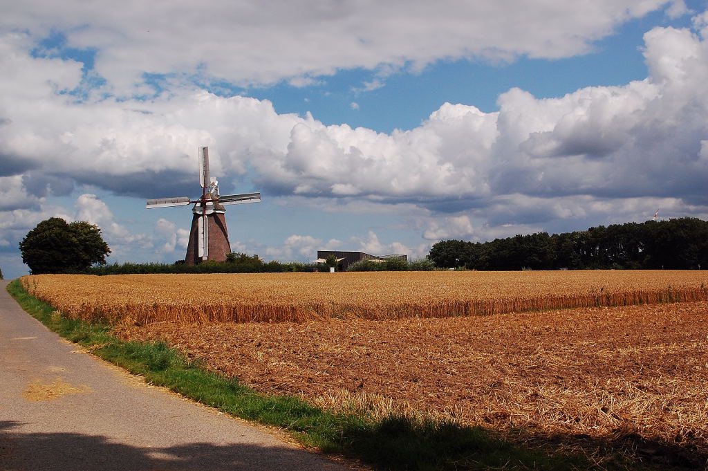 Landschaft mit Windmhle bei Breberen.......diese Mhle ist vollstndig restauriert und kann auch mahlen. Fr Ausflgler gibt es sogar ein Cafe. 29.7.2012