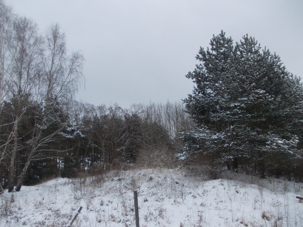 Landschaft in der Nhe vom Weinberg in Bad Belzig 12.03.13