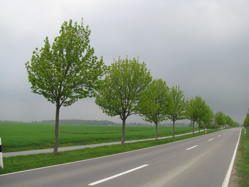 Landschaft sdlich von Leezen (PCH) an der L 101 [Mai 2010]