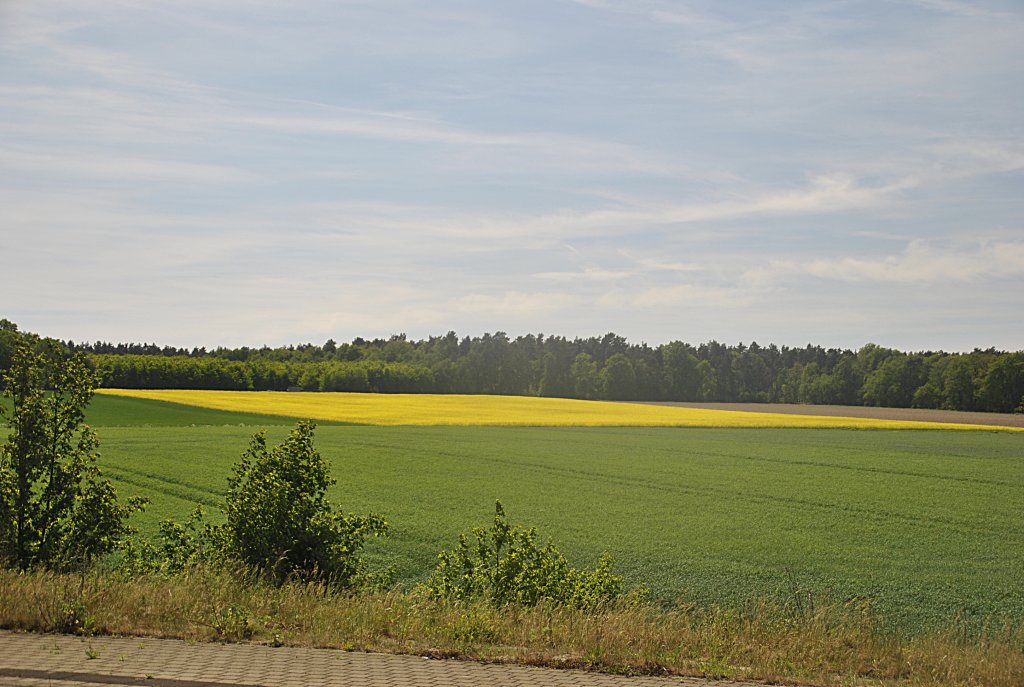 Landschaftbild zwischen Nienburg und Hannover, am 09.05.2011.