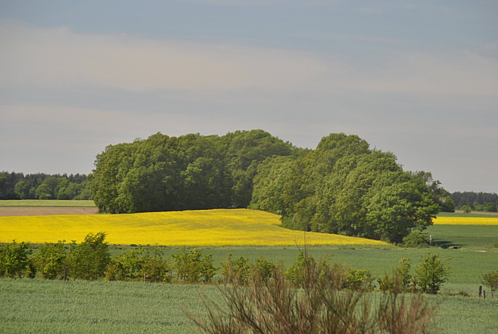 Landschaftbild zwischen Nienburg und Hannover, am 09.05.2011.