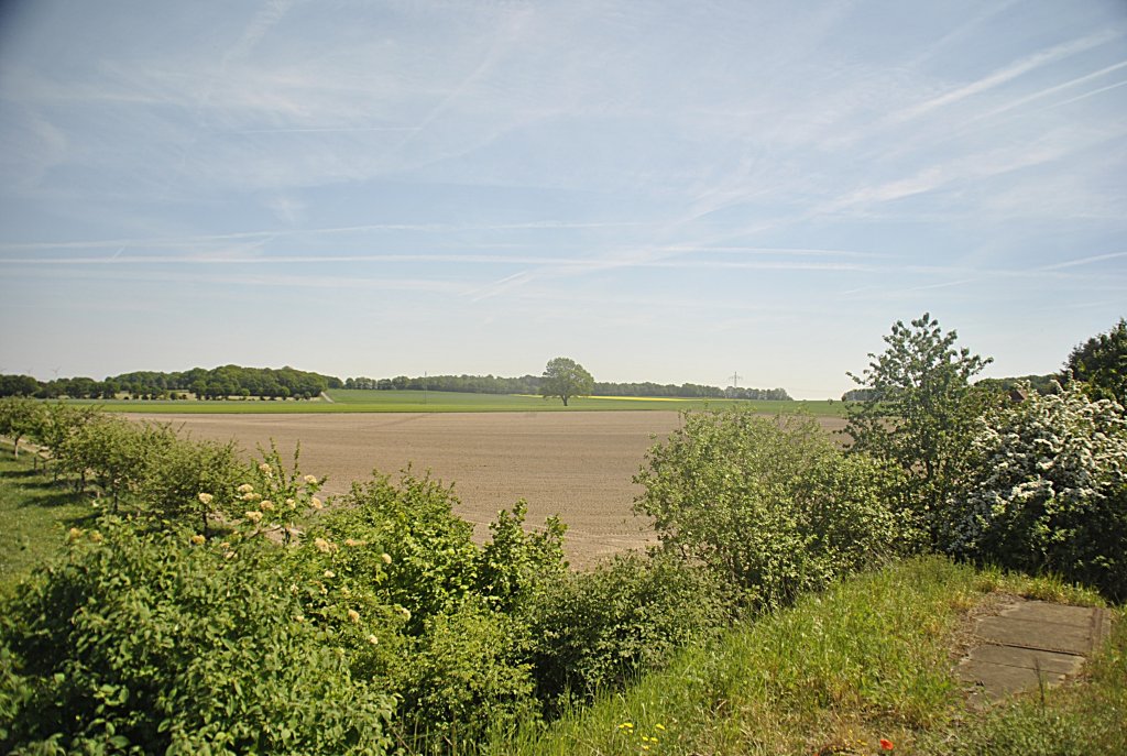 Landschaftsbild bei Hagen/Hannover zwischen Nienburg und Neustadt am Rbenberge, am 09.05.2011.