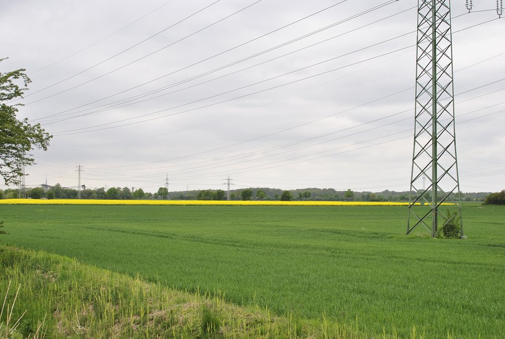 Landschaftsbild, zwischen Ahlten und Lehrte, am 10.05.2010.