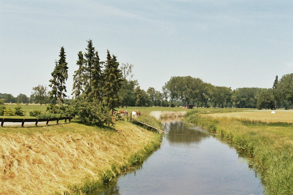 Landschaftsfotos in der Seestermher Marsch im Kreis Pinneberg.Fotografie vom Juni 2011.