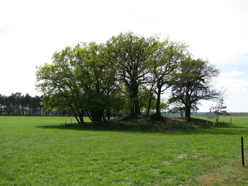 Landschft am westlichen Ortsausgang von Pinnau (LG [NS]) an der B 195, Mai 2010