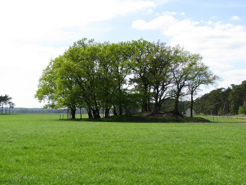 Landschft am westlichen Ortsausgang von Pinnau an der B 195 (LG [NS]) [Mai 20100