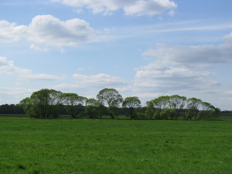 Landschft bei Laave (LG [NS]), 05.05.2010