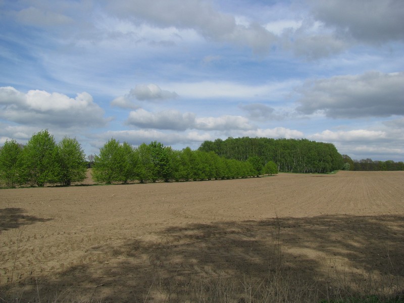 Landschft stlich von Vellahn (LWL) an der L 6 [Mai 2010]