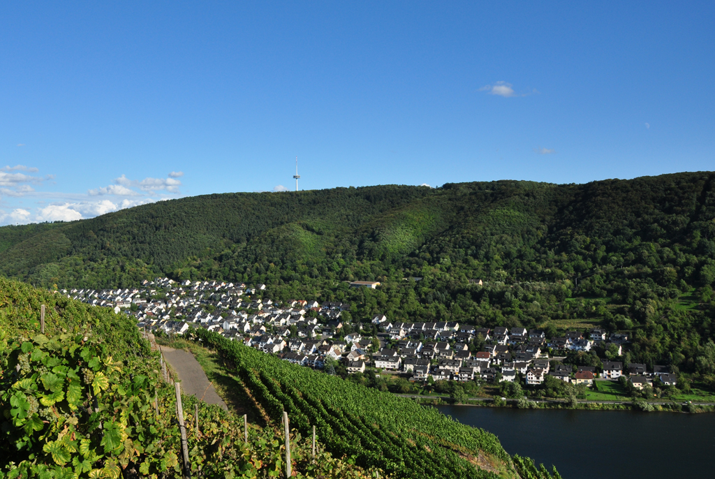 Lay an der Mosel, im Hintergrund TV-Turm bei Koblenz - 05.09.2011