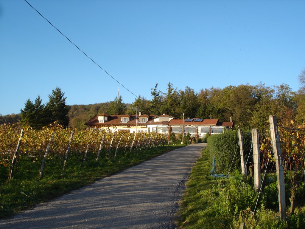 Lenzenberg, oberhalb von Ihringen/Kaiserstuhl,
herrlicher Aussichtspunkt und Raststtte,
Nov.2005