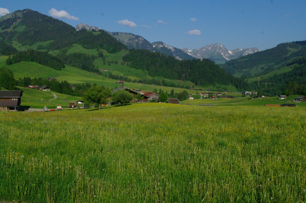 Les Moulins, Tal Pays-d`Enhaut im Kanton Waadt (28.05.2012)