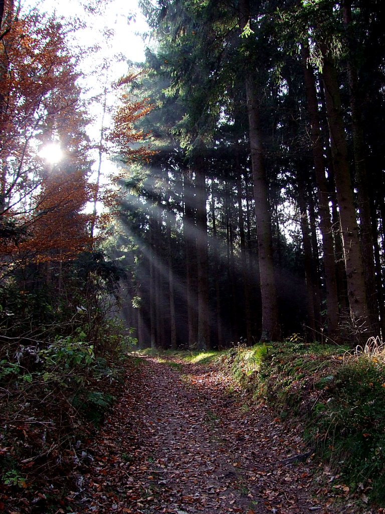 Lichtstrahlen weisen den Weg;101103 - Landschaftsfotos.eu