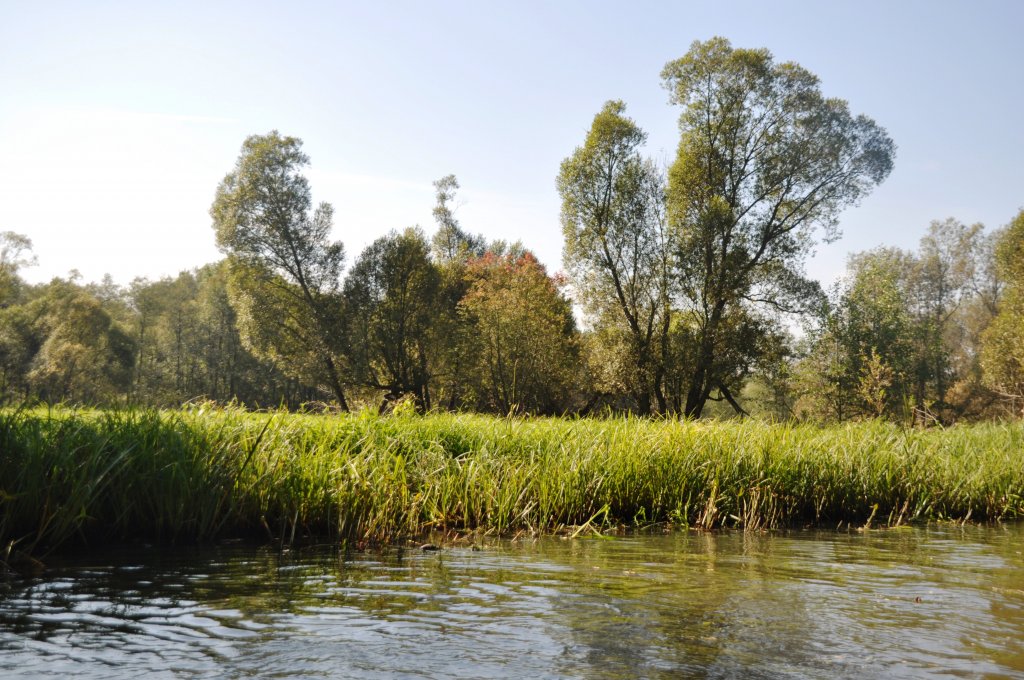 LÜBBENAU im Spreewald (Landkreis OberspreewaldLausitz), 23.09.2010