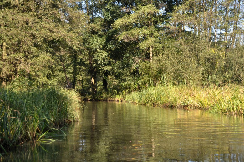 LÜBBENAU/Spreewald, 23.09.2010, auf Kahnfahrt im Spreewald