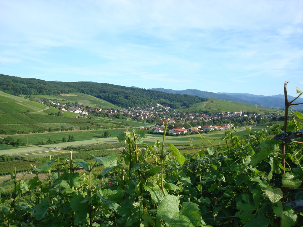 Markgrflerland,
Blick ins Schneckental und auf Pfaffenweiler,
2008